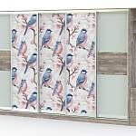Шкаф-купе Аура 24 BMS - Фото 6