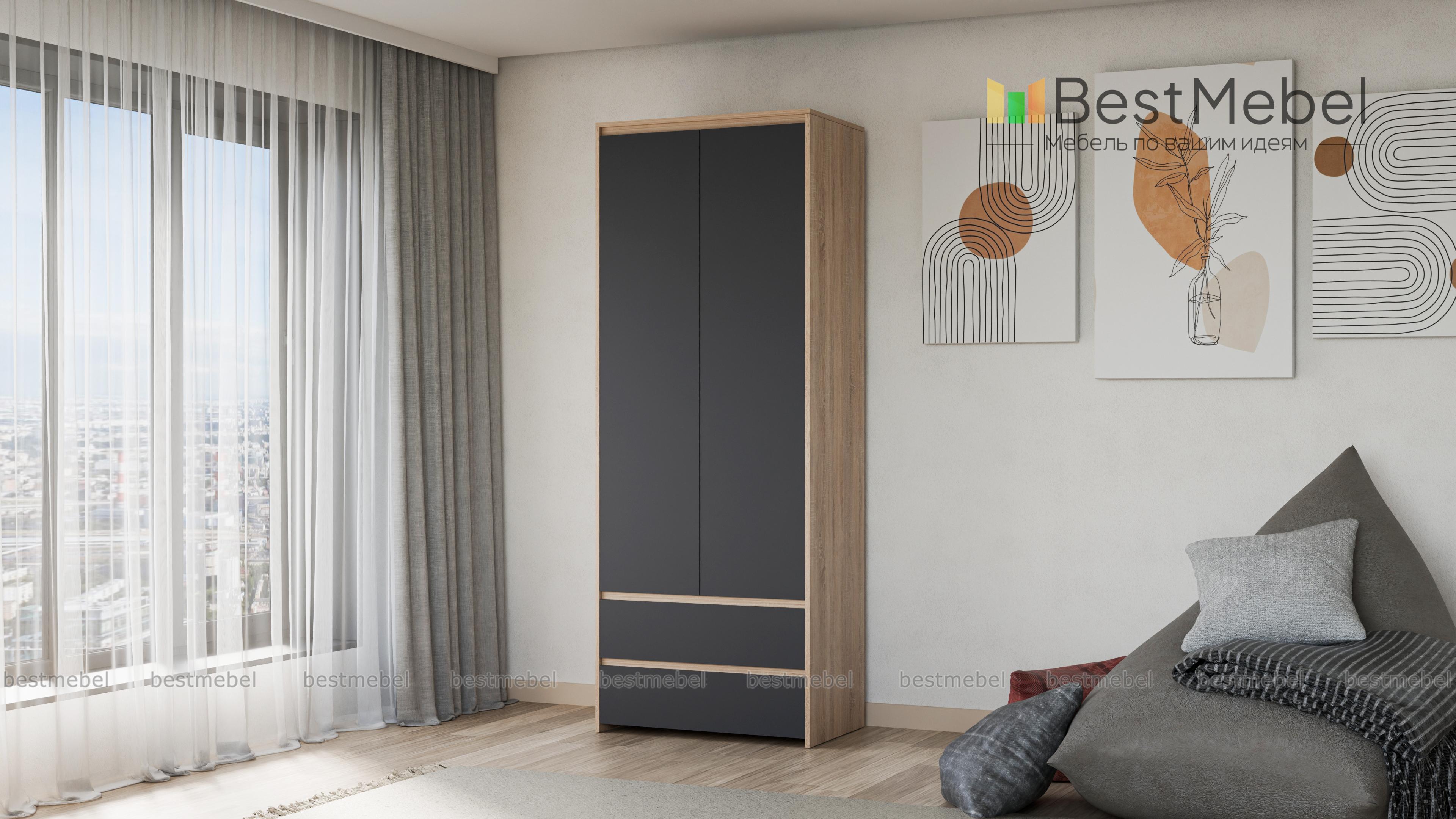 Шкаф Reg 2D2S BMS - Фото