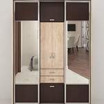 Шкаф-купе МТ 2.5.8 BMS - Фото 3
